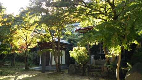 荒地山からゴロゴロ岳10月30日(日)_c0218841_18105344.jpg