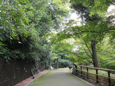 「北野天満宮」 京都_e0083142_930389.jpg