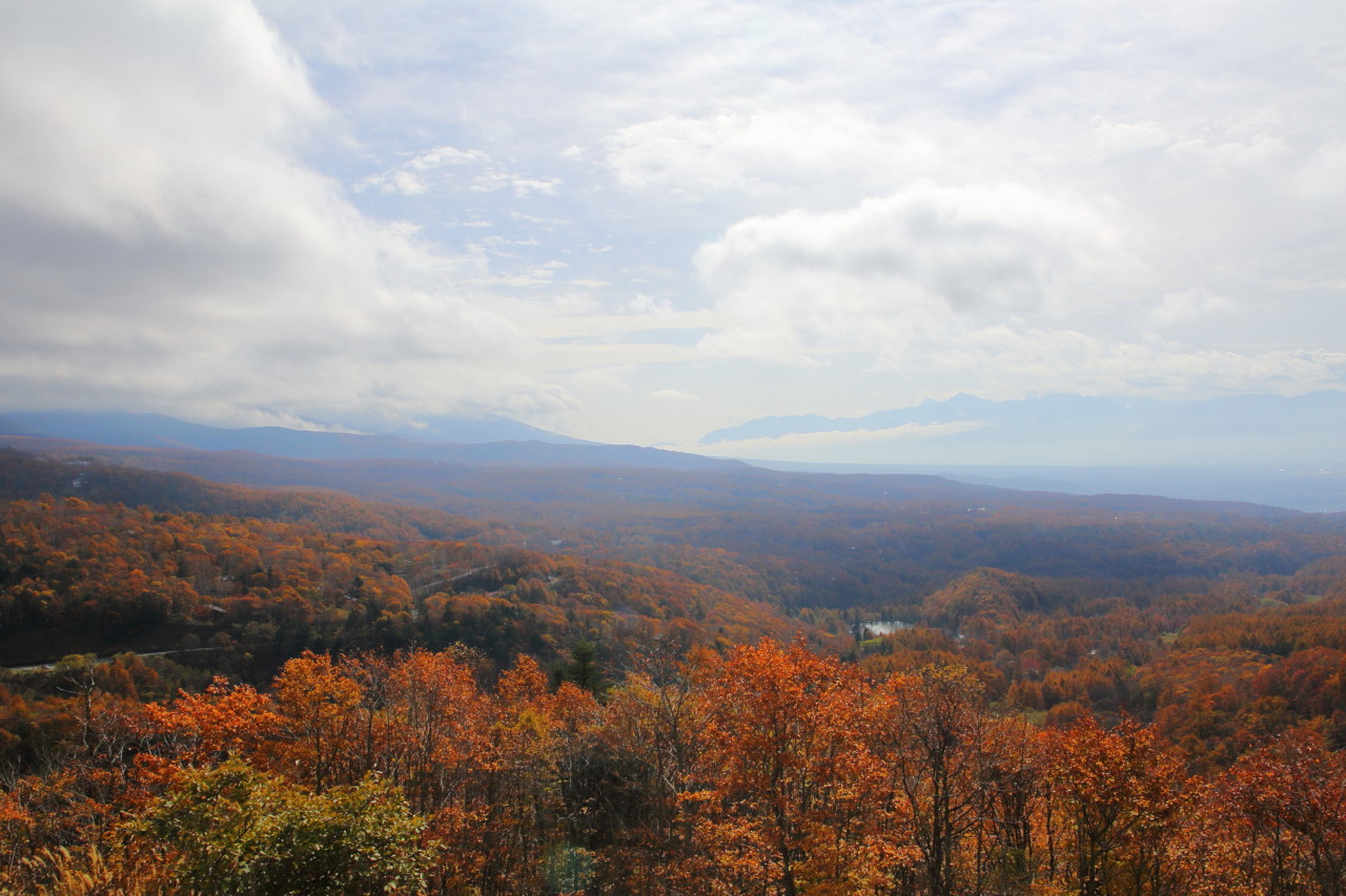 b0078651_22274330.jpg