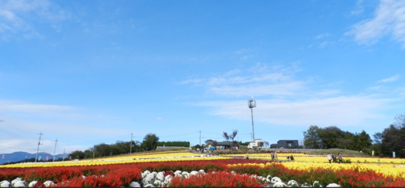 a0290852_165057.png