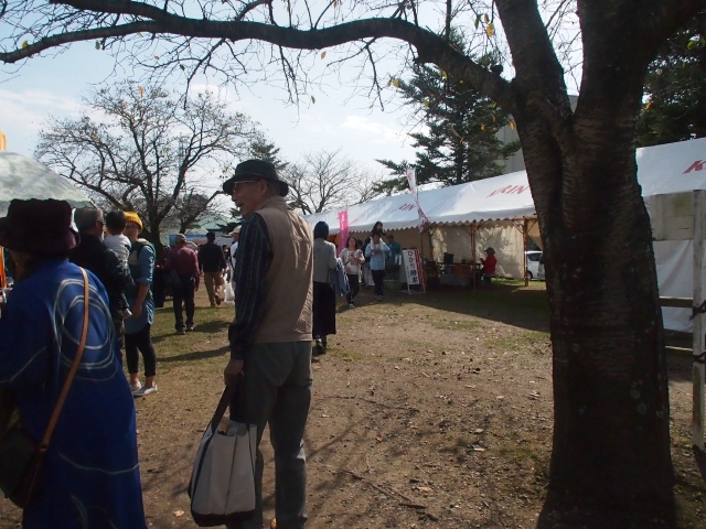 キリンビール福岡工場コスモス園へ_b0124456_2282844.jpg