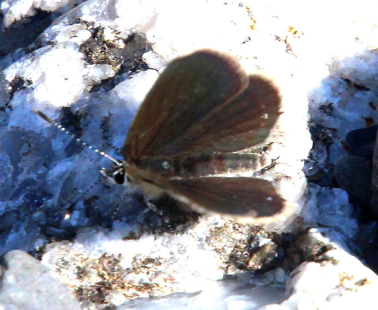 b0320769_08541686.jpg