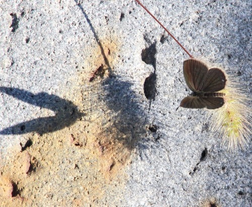 b0320769_08543141.jpg