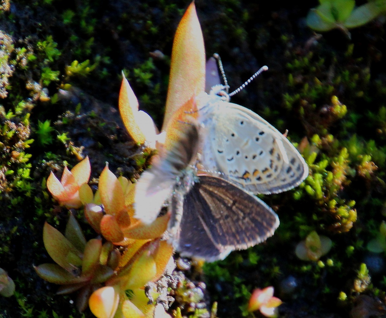 b0320769_08545899.jpg