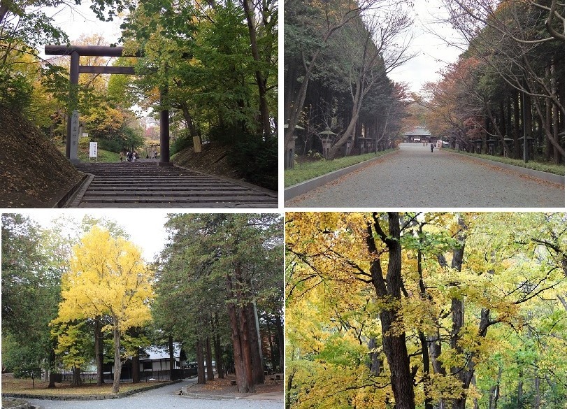 「円山公園の紅葉（黄葉）」　オーソッドクスに行ってきました。_f0362073_19140852.jpg