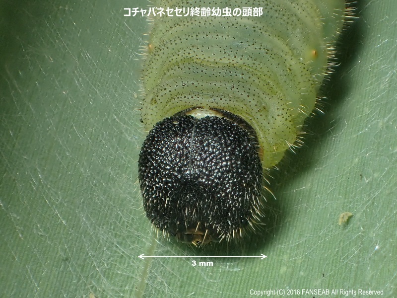 f0090680_14515751.jpg