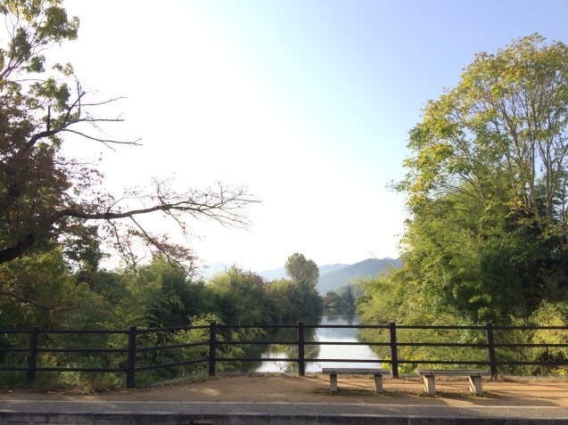 f0379286_19555867.jpeg