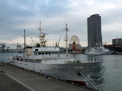 b0192588_93164.jpg