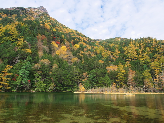 紅葉だより2016～上高地その弐～_d0026589_02375715.jpg