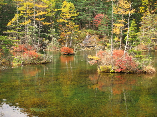 紅葉だより2016～上高地その弐～_d0026589_02375794.jpg