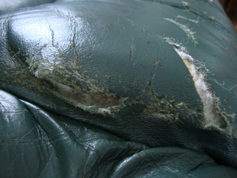 c0322794_946465.jpg