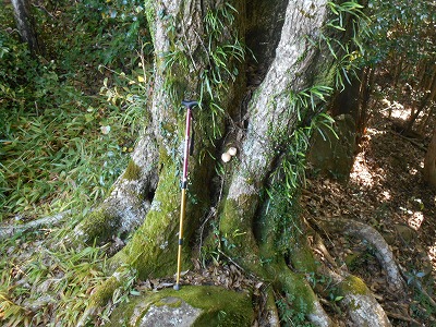 f0308898_18103149.jpg