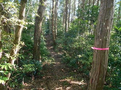 f0308898_18103823.jpg