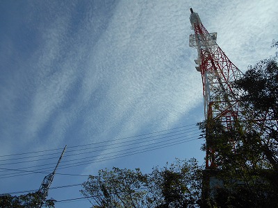 f0308898_1811070.jpg