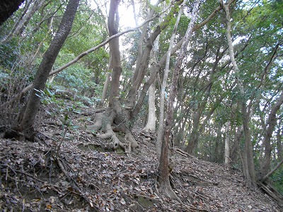 f0308898_1822621.jpg