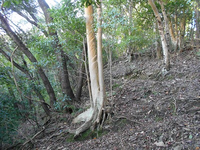 f0308898_1824840.jpg