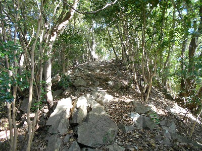 f0308898_1842761.jpg