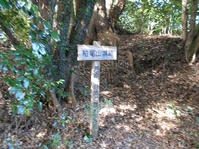 f0308898_1871690.jpg