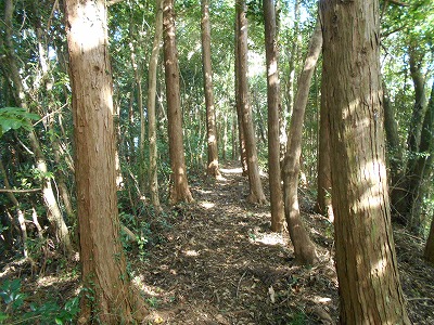 f0308898_19343372.jpg