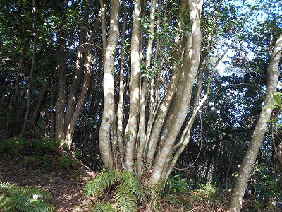 f0308898_1935121.jpg