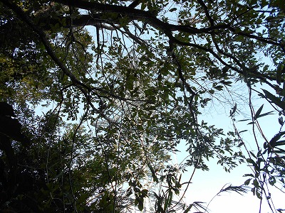 f0308898_19353231.jpg