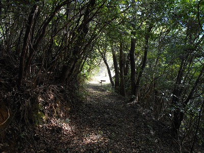 f0308898_19354273.jpg
