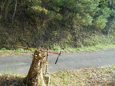 f0308898_194192.jpg