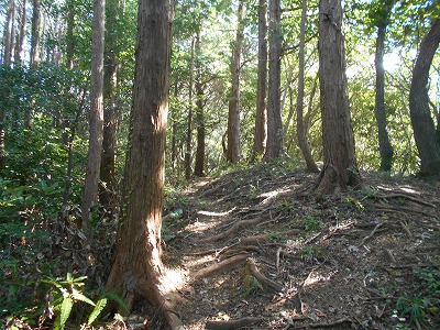 f0308898_19421490.jpg
