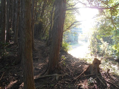 f0308898_19422245.jpg