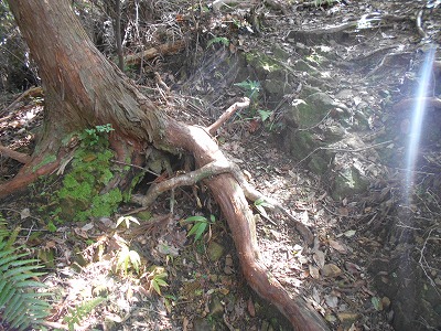 f0308898_19423617.jpg