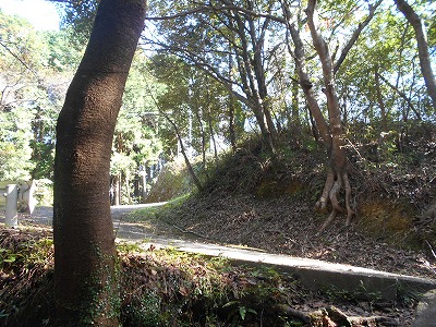 f0308898_19441896.jpg