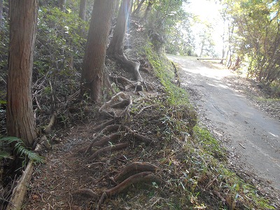 f0308898_1944692.jpg