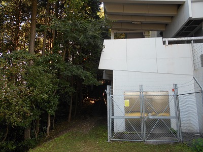 f0308898_1945319.jpg