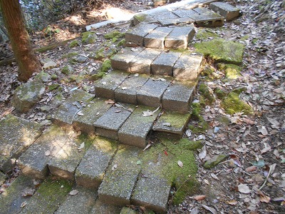 f0308898_1946264.jpg