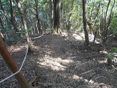 f0308898_19492920.jpg