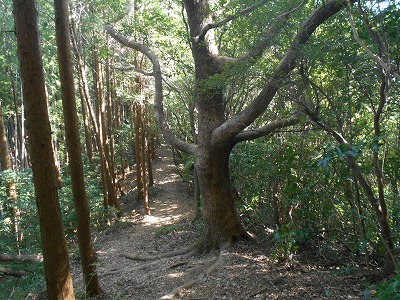 f0308898_19493768.jpg