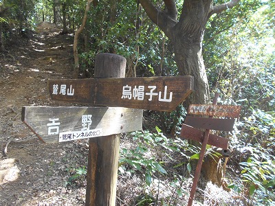 f0308898_19501534.jpg