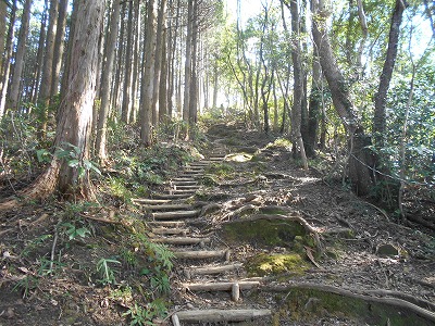 f0308898_19502499.jpg
