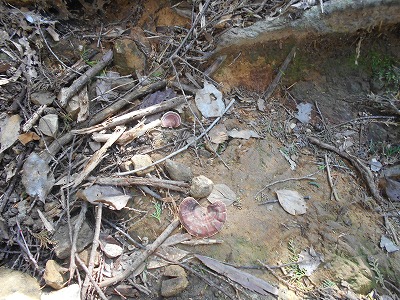 f0308898_19503172.jpg