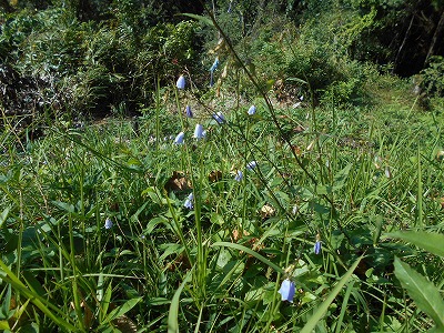 f0308898_1952270.jpg