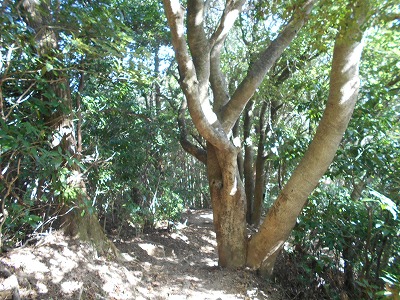 f0308898_19523983.jpg
