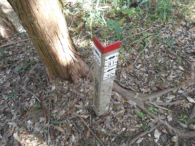 f0308898_19525623.jpg