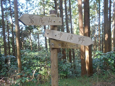 f0308898_1953156.jpg