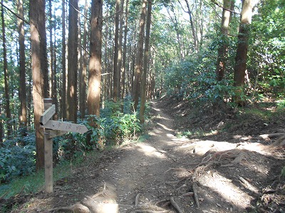 f0308898_19552057.jpg