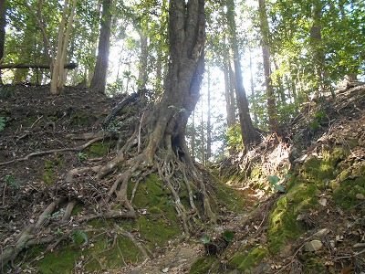 f0308898_19554133.jpg