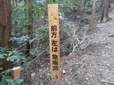 f0308898_19562067.jpg