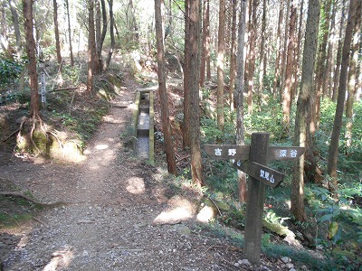 f0308898_19583640.jpg