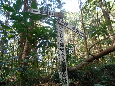 f0308898_19584852.jpg
