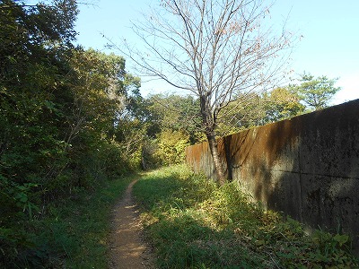 f0308898_19591521.jpg