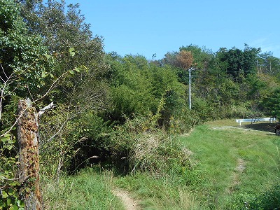 f0308898_19594334.jpg